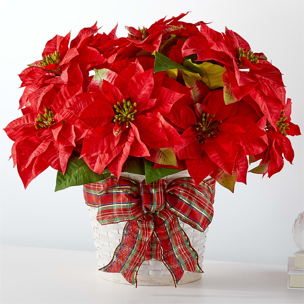Happiest Holidays Poinsettia – BETTY'S FLOWERS AND GIFTS, Watsonville CA