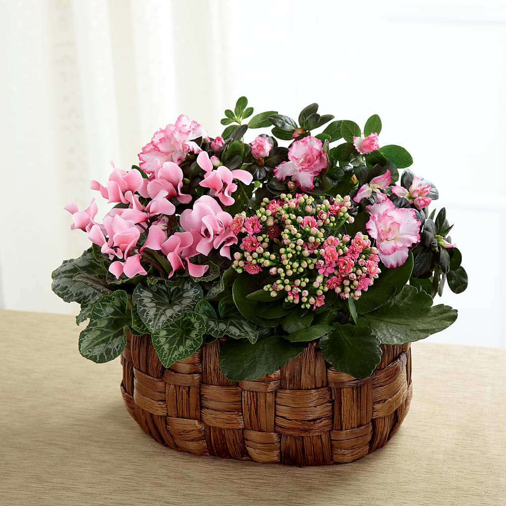 Pink Assortment – BETTY'S FLOWERS AND GIFTS, Watsonville CA