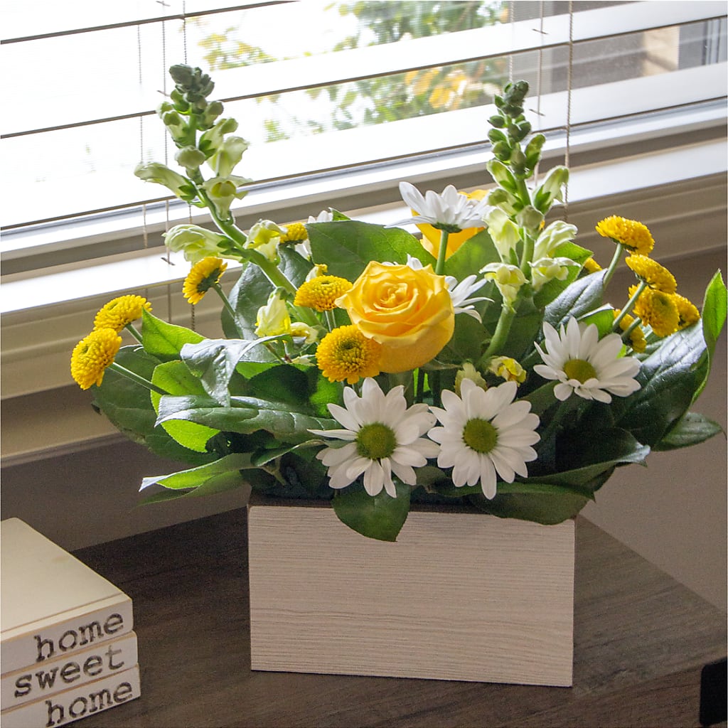 Sun Salutation Box Bouquet – BETTY'S FLOWERS AND GIFTS, Watsonville CA