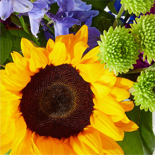 Catching Rays Bouquet – BETTY'S FLOWERS AND GIFTS, Watsonville CA