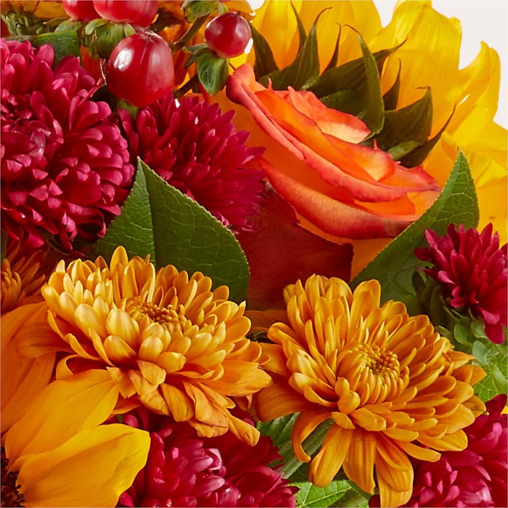 Sweater Season - A Florist Original – BETTY'S FLOWERS AND GIFTS, Watsonville CA