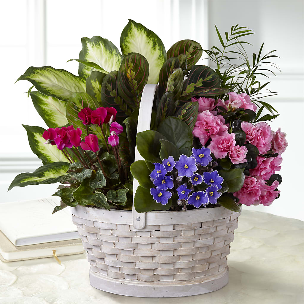 Peaceful Garden Planter – BETTY'S FLOWERS AND GIFTS, Watsonville CA