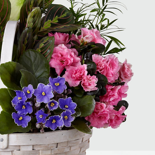 Peaceful Garden Planter – BETTY'S FLOWERS AND GIFTS, Watsonville CA
