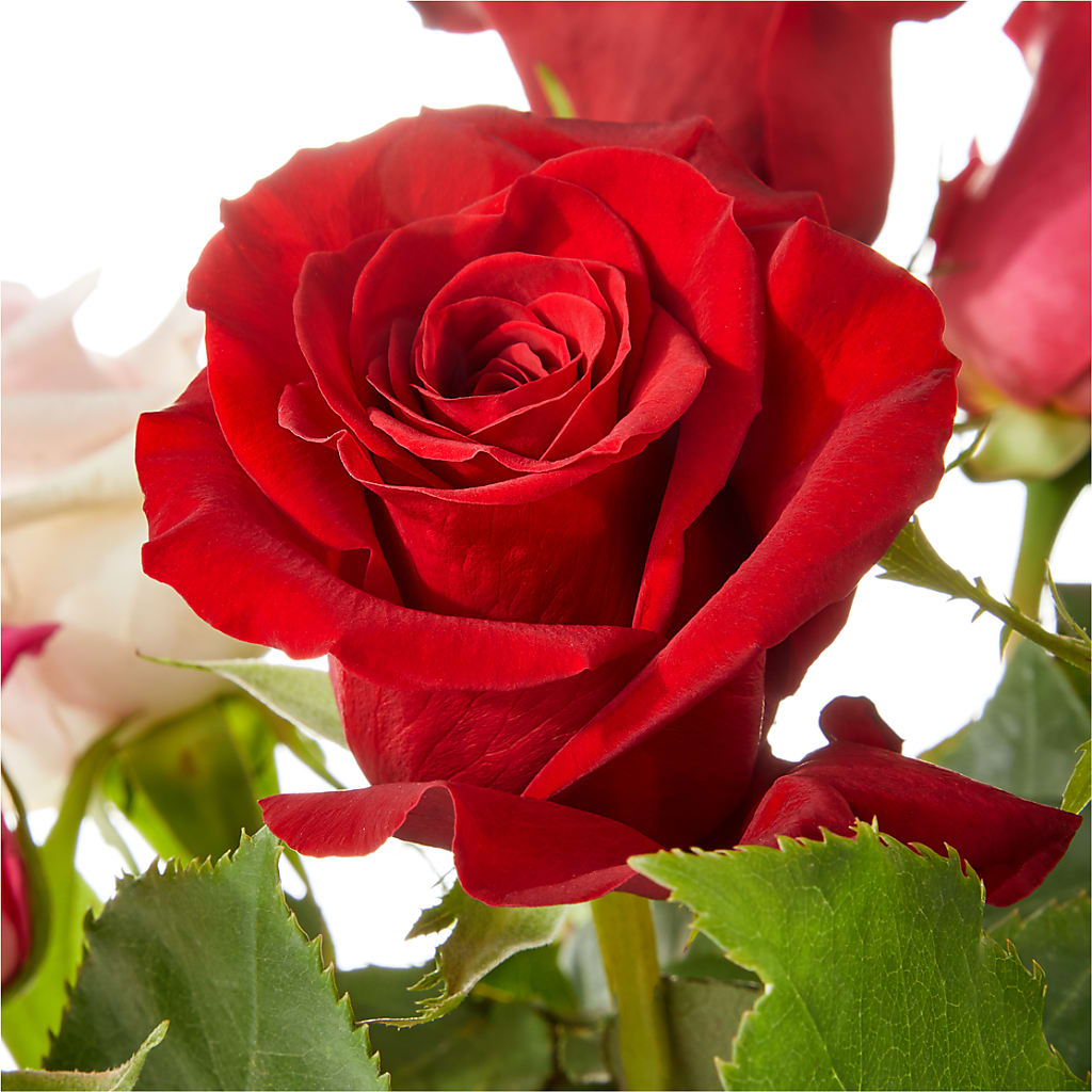 Love Notes Rose Bouquet – BETTY'S FLOWERS AND GIFTS, Watsonville CA