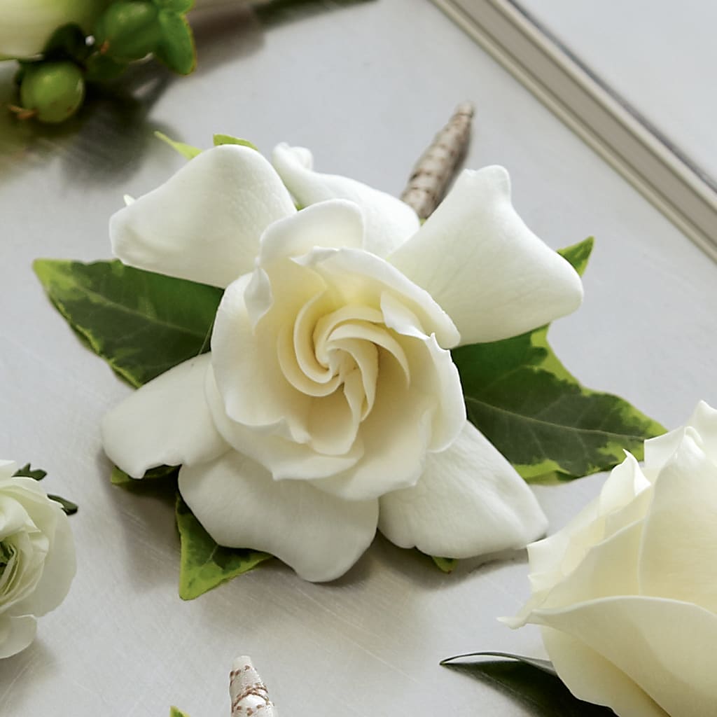 Gardenia Boutonniere – BETTY'S FLOWERS AND GIFTS, Watsonville CA