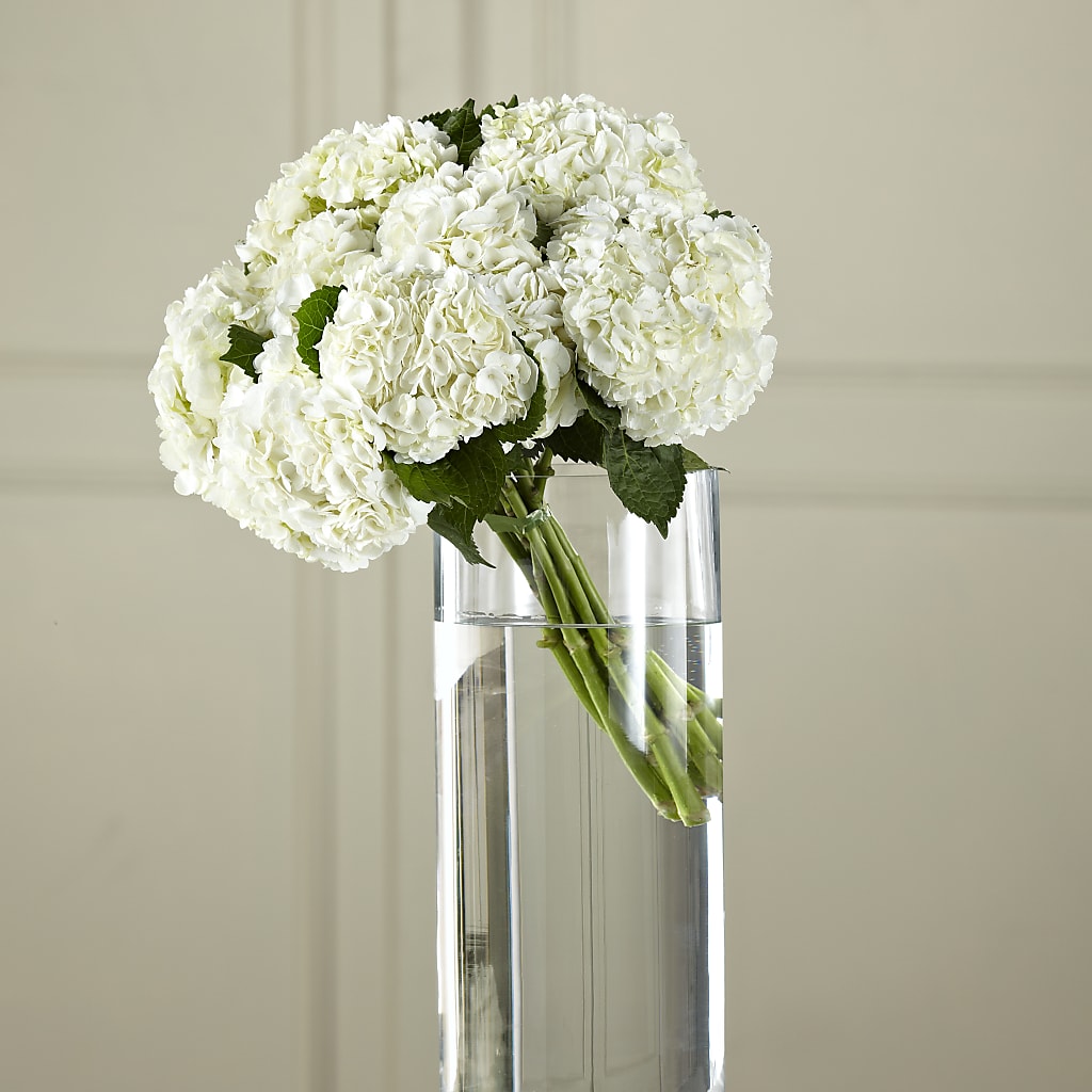 White Hydrangea Hand-Tied Bouquet – BETTY'S FLOWERS AND GIFTS, Watsonville CA