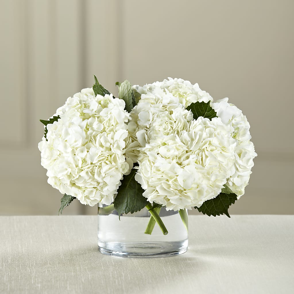 White Hydrangea Bouquet – BETTY'S FLOWERS AND GIFTS, Watsonville CA