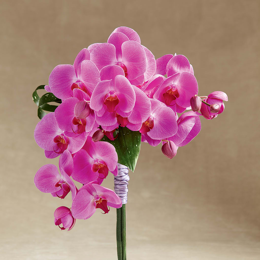 Glorious Bouquet – BETTY'S FLOWERS AND GIFTS, Watsonville CA