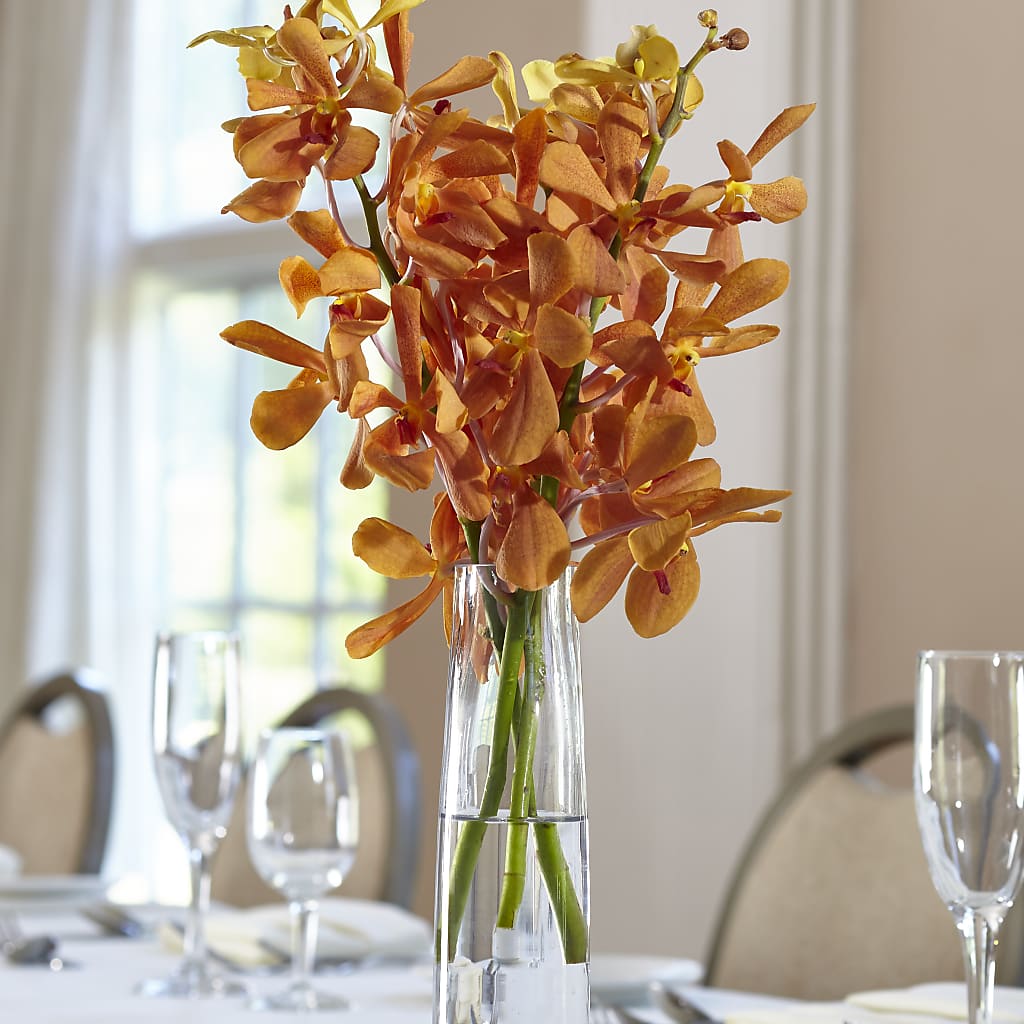 Orange Mokara Bud Vase – BETTY'S FLOWERS AND GIFTS, Watsonville CA
