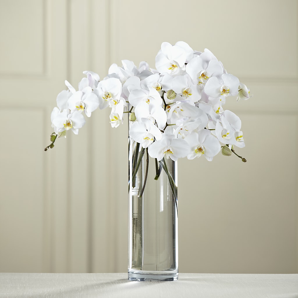 White Phalaenopsis Bouquet – BETTY'S FLOWERS AND GIFTS, Watsonville CA