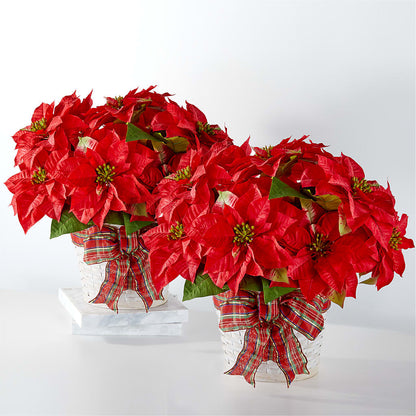 Happiest Holidays Poinsettia Bundle – BETTY'S FLOWERS AND GIFTS, Watsonville CA