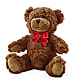 Adorable Plush Bear – BETTY'S FLOWERS AND GIFTS, Watsonville CA