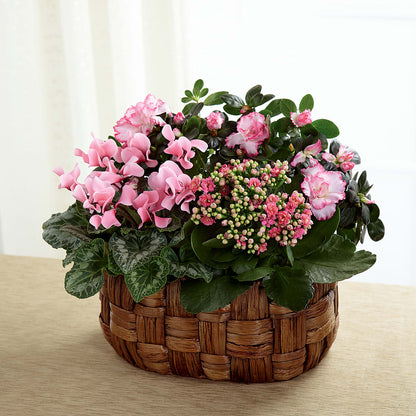 Pink Assortment – BETTY'S FLOWERS AND GIFTS, Watsonville CA