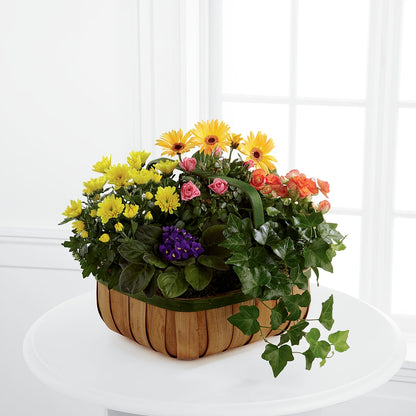 Gentle Blossoms Basket – BETTY'S FLOWERS AND GIFTS, Watsonville CA