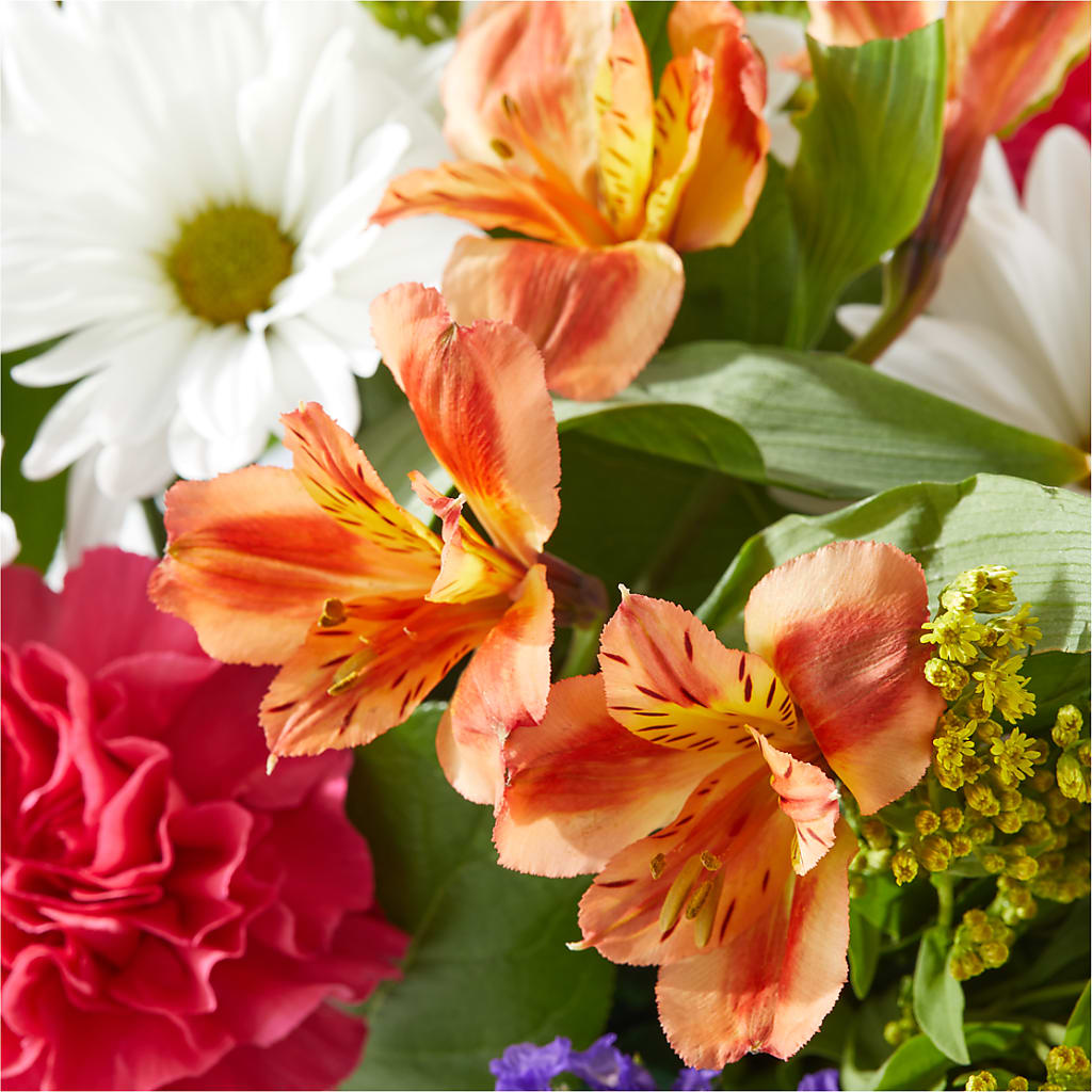 Oopsie Daisy Box Bouquet – BETTY'S FLOWERS AND GIFTS, Watsonville CA
