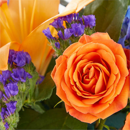 Radiant Citrus Box Bouquet – BETTY'S FLOWERS AND GIFTS, Watsonville CA