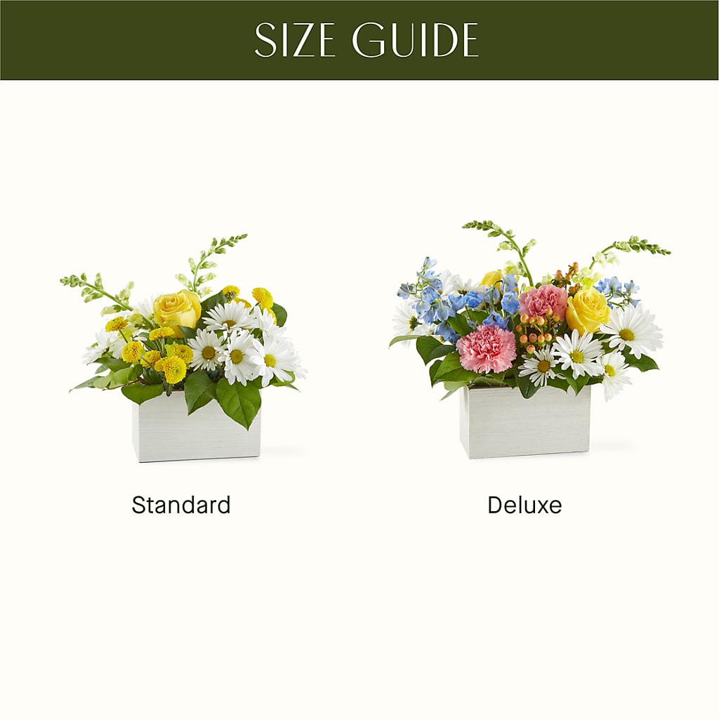 Sun Salutation Box Bouquet – BETTY'S FLOWERS AND GIFTS, Watsonville CA
