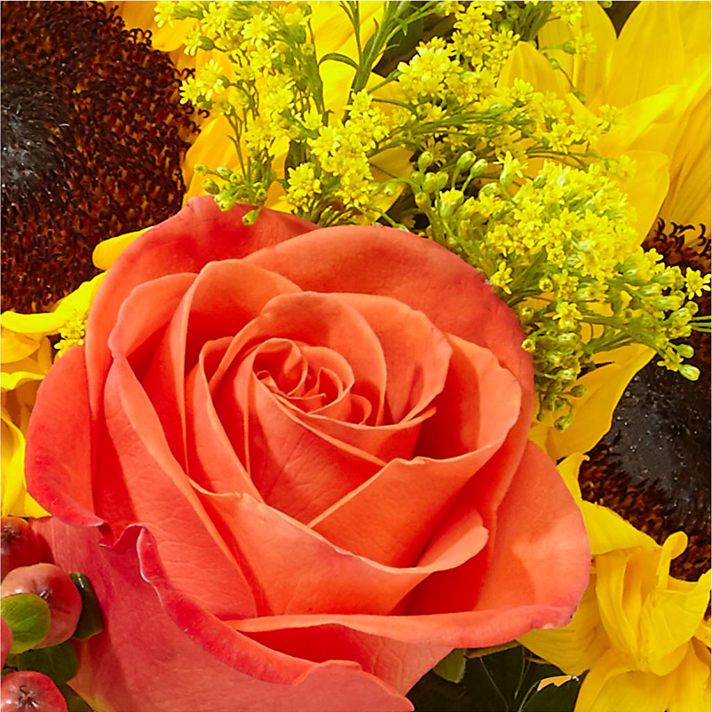 Pick of the Patch Pumpkin Bouquet – BETTY'S FLOWERS AND GIFTS, Watsonville CA