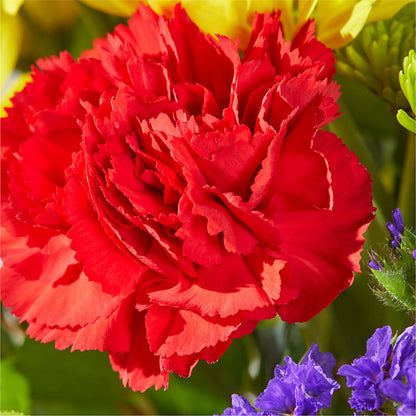 Brighter Days Bouquet – BETTY'S FLOWERS AND GIFTS, Watsonville CA