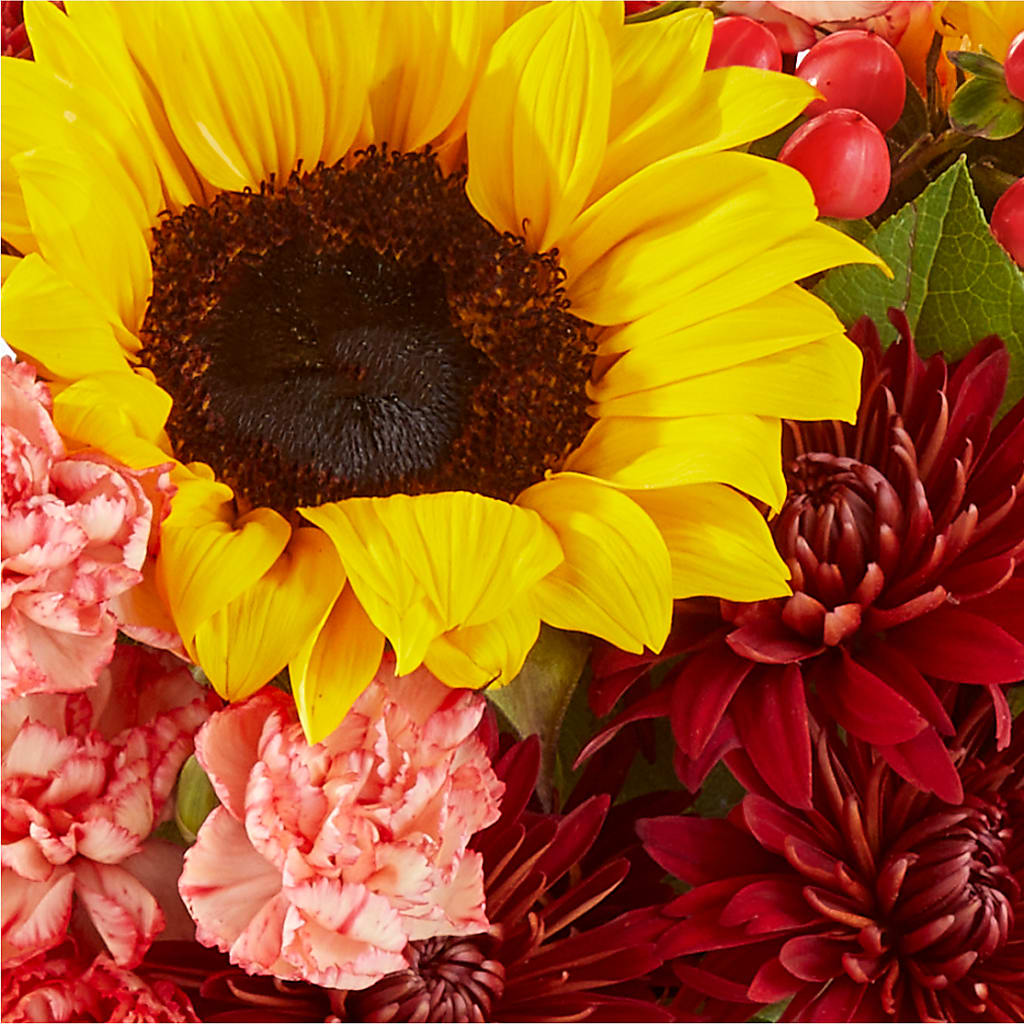 Fresh Cider Bouquet – BETTY'S FLOWERS AND GIFTS, Watsonville CA