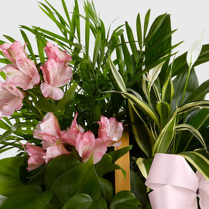 Living Spirit Dishgarden – BETTY'S FLOWERS AND GIFTS, Watsonville CA