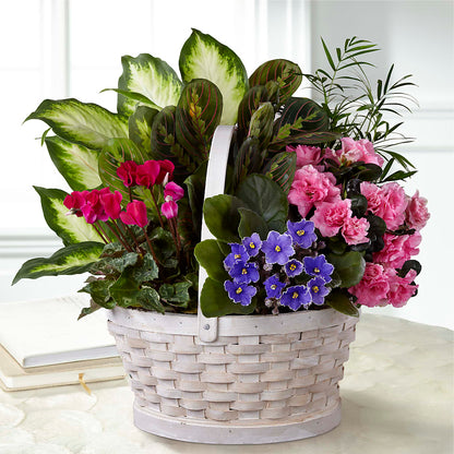 Peaceful Garden Planter – BETTY'S FLOWERS AND GIFTS, Watsonville CA