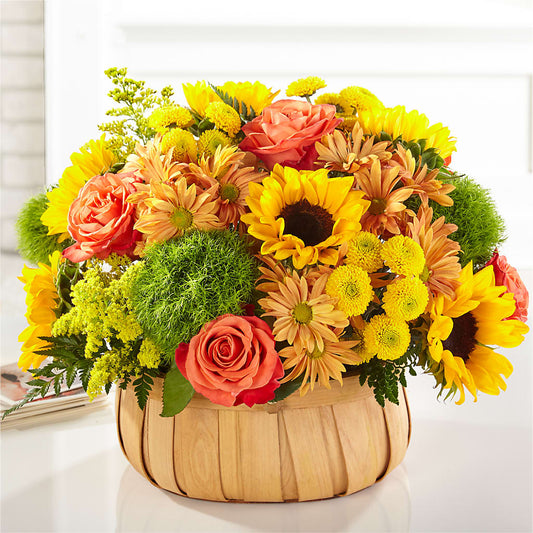 Harvest Sunflower Basket – BETTY'S FLOWERS AND GIFTS, Watsonville CA