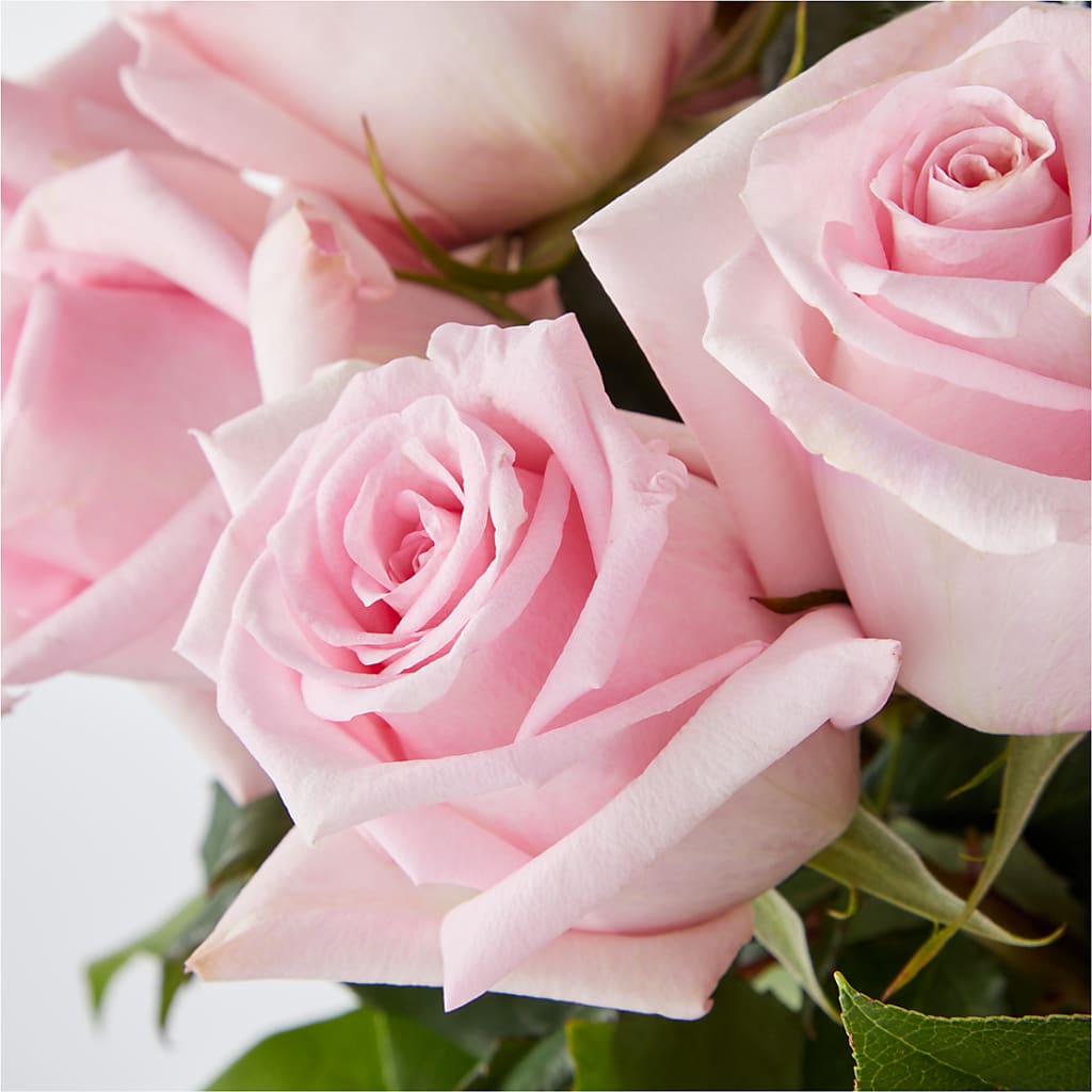 Picture Perfect Pink Rose Bouquet – BETTY'S FLOWERS AND GIFTS, Watsonville CA