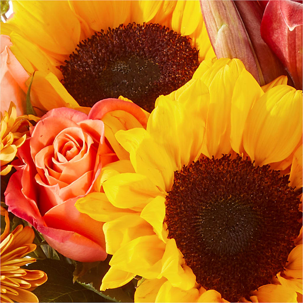 Acorn Lane Bouquet – BETTY'S FLOWERS AND GIFTS, Watsonville CA