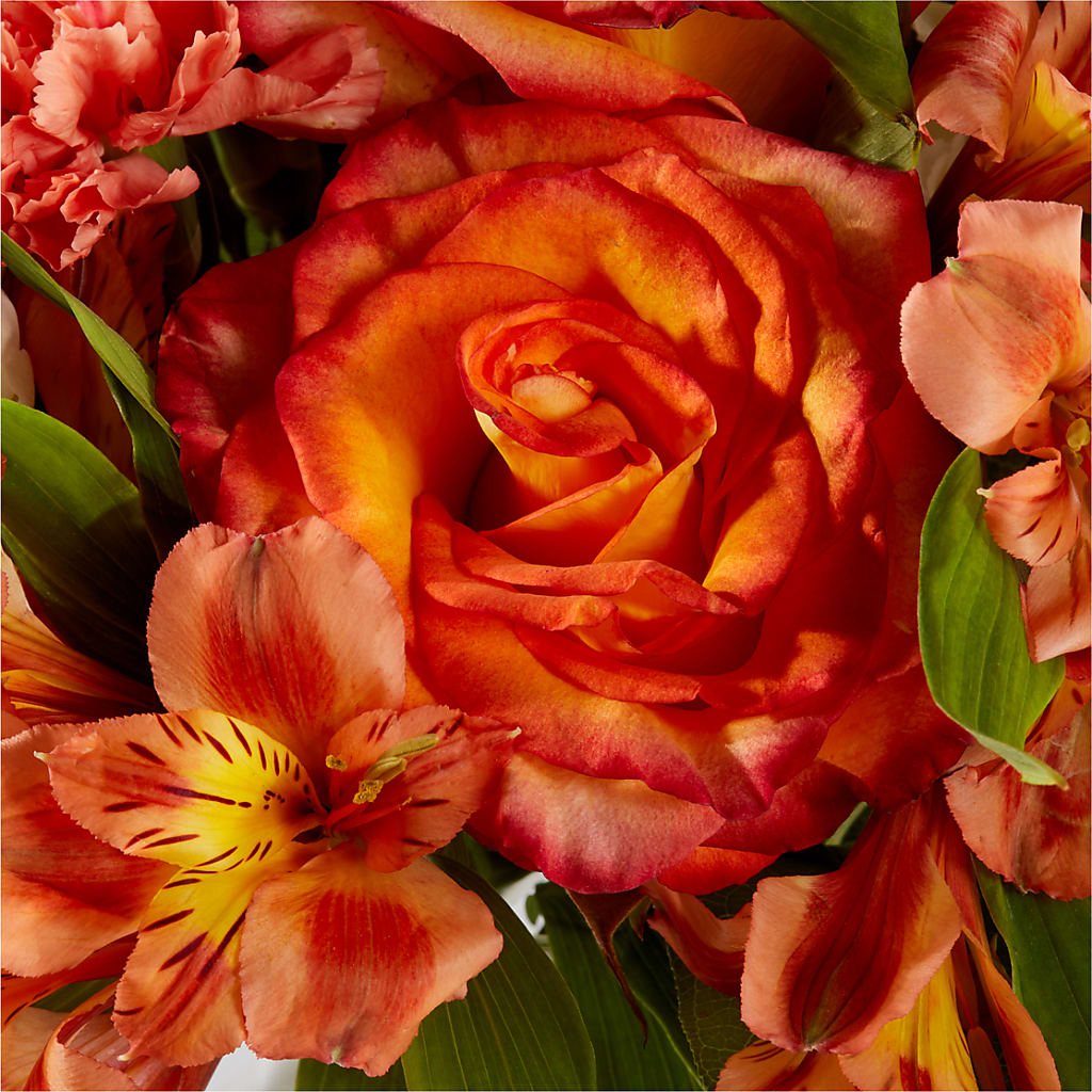 Apricot Glow Bouquet – BETTY'S FLOWERS AND GIFTS, Watsonville CA