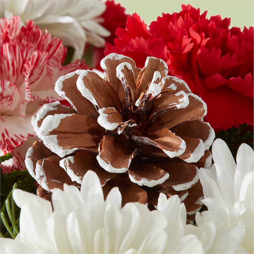Candy Cane Lane Bouquet – BETTY'S FLOWERS AND GIFTS, Watsonville CA