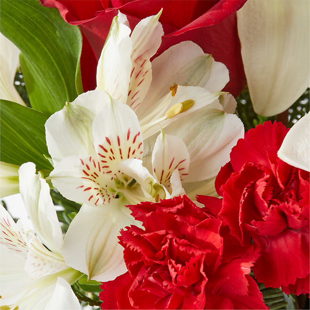 Holiday Season Bouquet – BETTY'S FLOWERS AND GIFTS, Watsonville CA