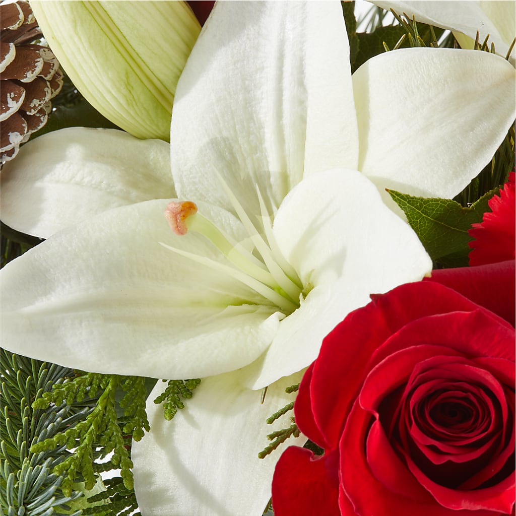 Oh So Jolly Bouquet – BETTY'S FLOWERS AND GIFTS, Watsonville CA