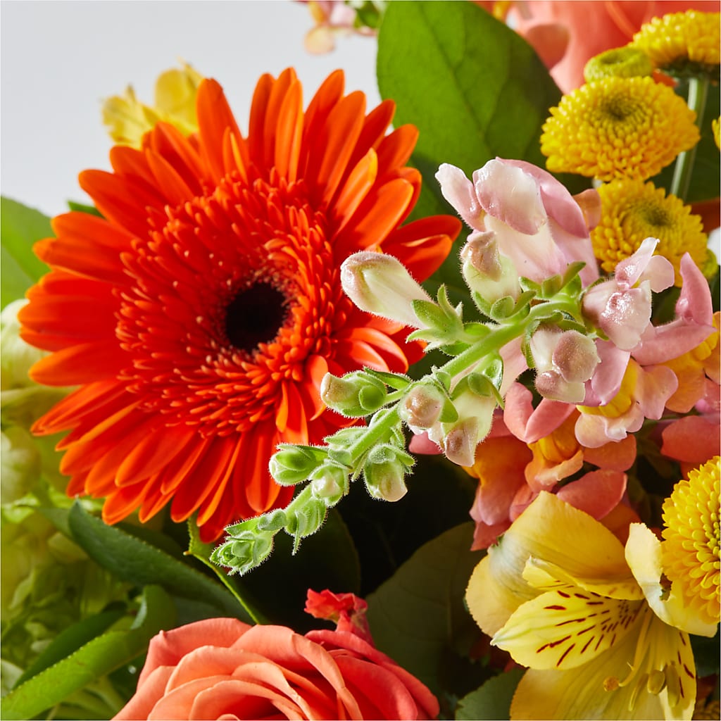 Autumn Sunshine Bouquet – BETTY'S FLOWERS AND GIFTS, Watsonville CA