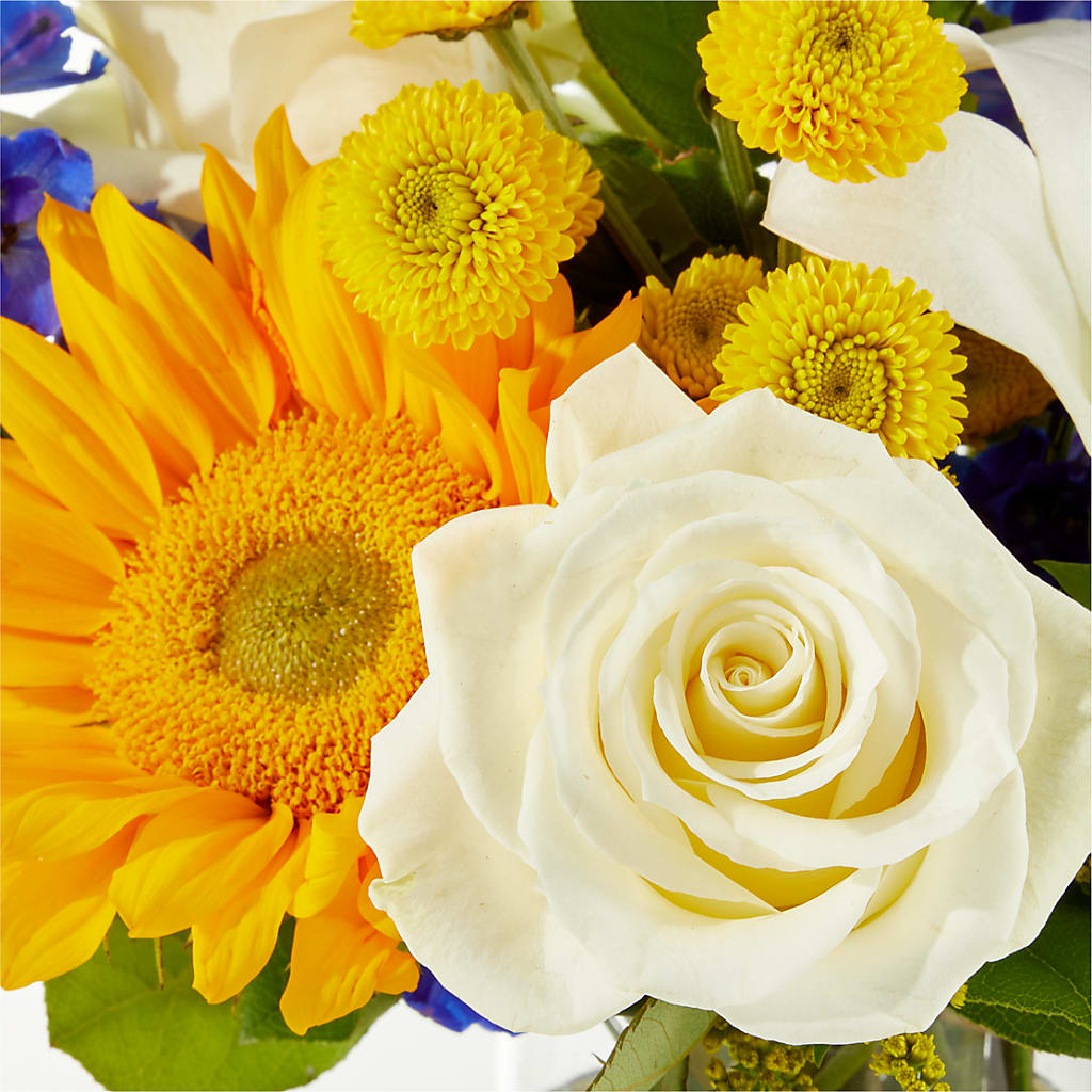 Stargazing Bouquet – BETTY'S FLOWERS AND GIFTS, Watsonville CA