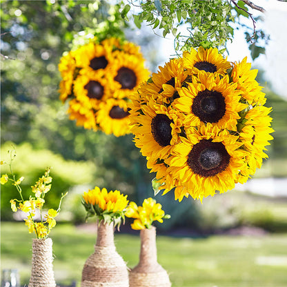 Sublime Garden Hanging Arrangement – BETTY'S FLOWERS AND GIFTS, Watsonville CA