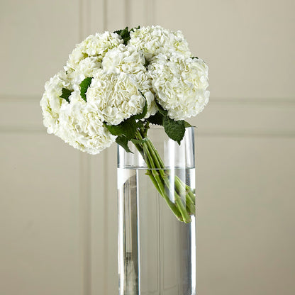 White Hydrangea Hand-Tied Bouquet – BETTY'S FLOWERS AND GIFTS, Watsonville CA