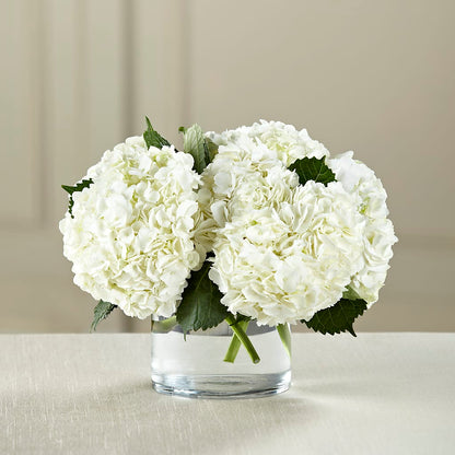 White Hydrangea Bouquet – BETTY'S FLOWERS AND GIFTS, Watsonville CA