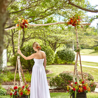 Arbor of Love Archway – BETTY'S FLOWERS AND GIFTS, Watsonville CA