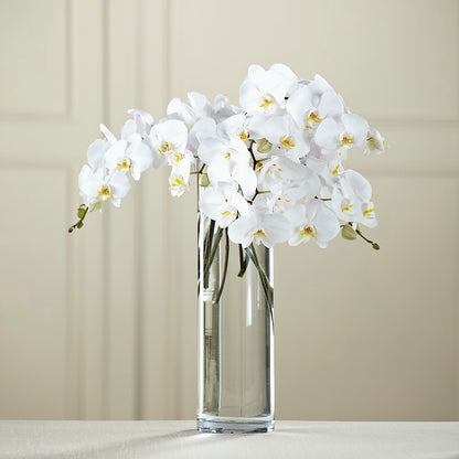 White Phalaenopsis Bouquet – BETTY'S FLOWERS AND GIFTS, Watsonville CA